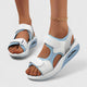  White/Blue