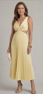 Ellis & Johnson™  | Radiant Twist Dress
